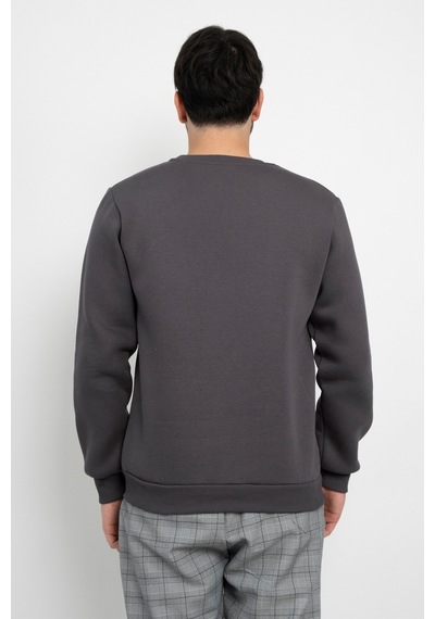Dasüniforma Basic Baskısız 3 İplik Unisex Cepsiz Düz Sweatshirt Yuvarlak Yaka Sweat Antrasit