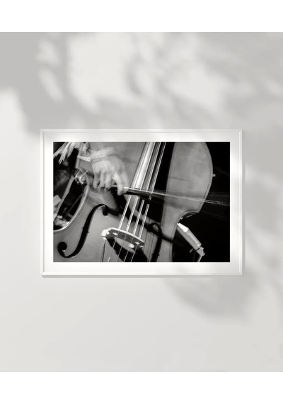 Çerçevesiz Poster Stradivarius'un İzinde
