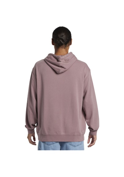 Quiksilver Salt Water Hoodie Erkek Sweatshirt Mor