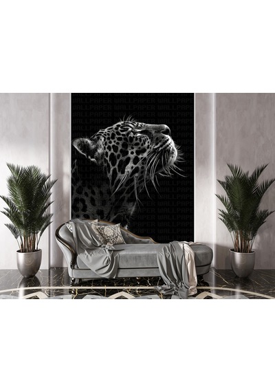 Siyah Beyaz Jaguar Poster Duvar Kağıdı Renkli