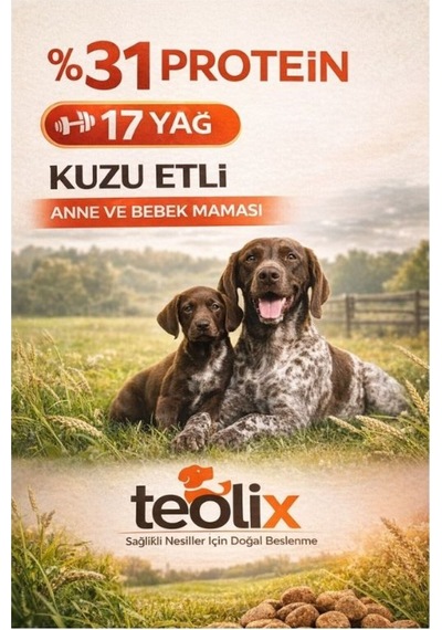 Teolix Kuzu Etli Anne Ve Yavru Köpek Maması %31 Protein %17 Yağ Dengeli & Tam Beslenme 15 Kg