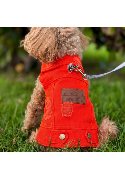 Yeni - Orange Renk Kot Köpek Yeleği - Küçük Irklar İçin Şık Ve Ra