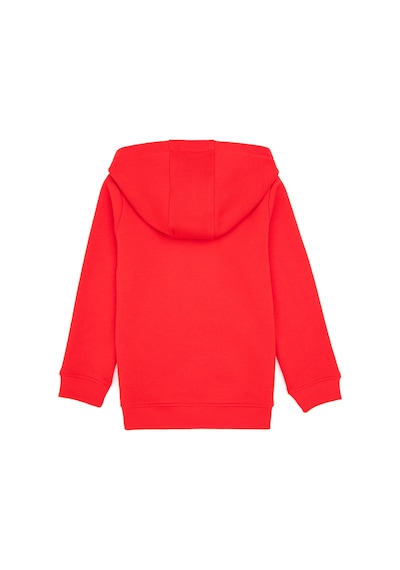 U.S. Polo Assn. Erkek Çocuk Kırmızı Basic Kapüşonlu Sweatshirt 50313808-VR030
