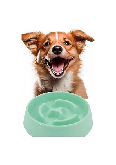Evcil Hayvan Yavaş Mama Yeme Kabı Yavaş Besleyici Kedi Köpek Mama Kabı Orta Boy 375 Ml 1450