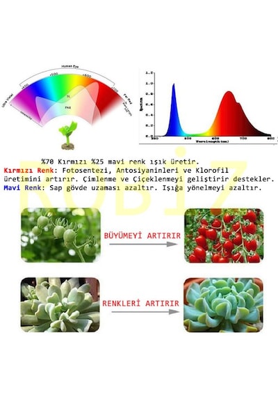 50w Tam Spektrum Bitki Yetiştirme Led Projektör Grow Light 50W Gün Işığı