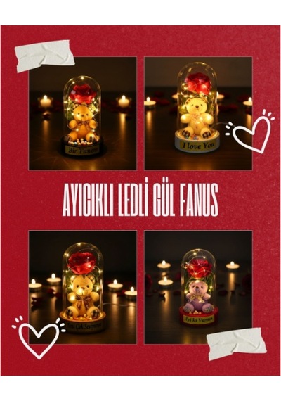 Ayıcıklı Ledli Gül Fanus
