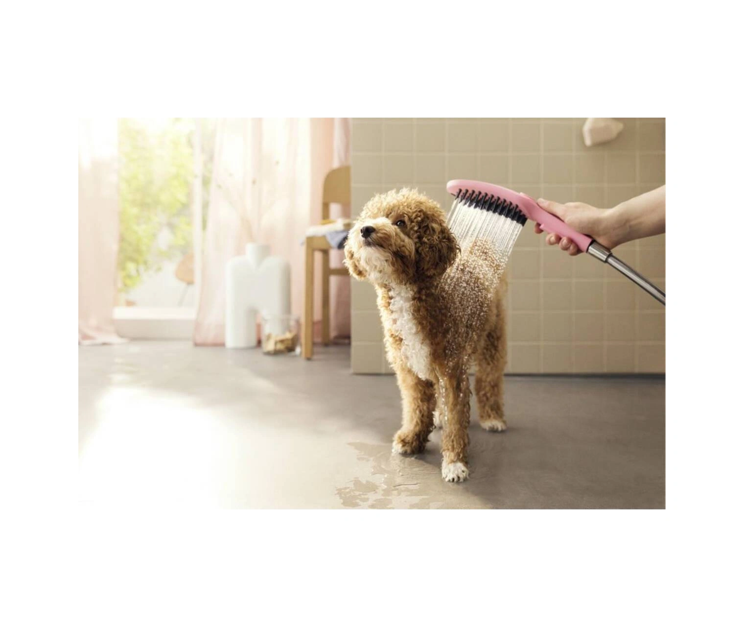 Hansgrohe Dogshower Köpek El Duşu 150 3jet Satin Beyaz Beyaz