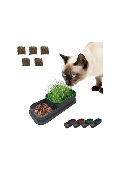 Hidroponik Kedi Çimi Seti, 5 Paket, Doğal Çim Yetiştirme