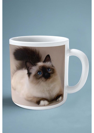 Birman Kedisi Kedi İsimli Kişiye Özel Baskılı Kupa Bardak Model 2 Çok Renkli