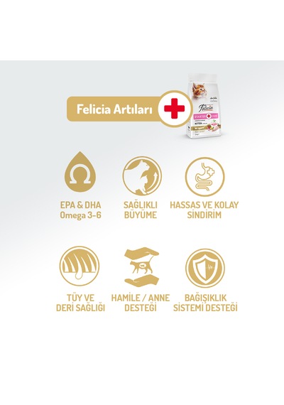 Felicia Kitten Tavuklu ve Hamsili Düşük Tahıllı Yavru Kedi Maması 12 KG