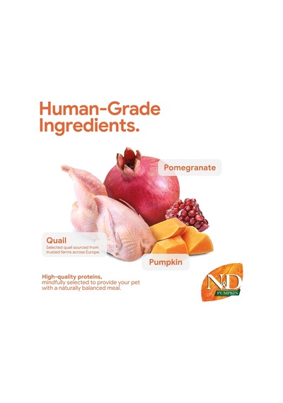 Tr N&d Pumpkin Tahılsız Bıldırcın Etli Balkabaklı Ve Narlı Kısırlaştırılmış Kedi Maması - 1.5 Kg