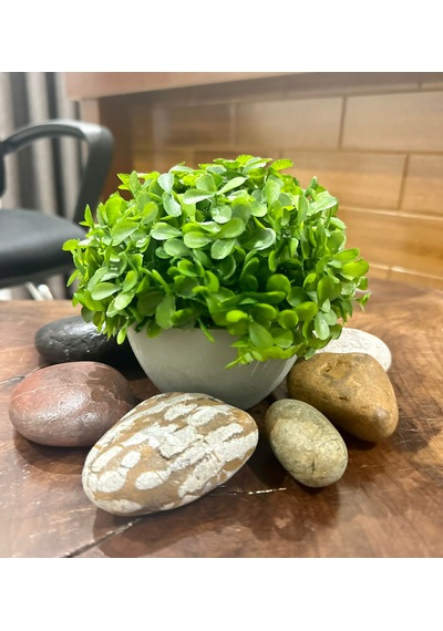 Modern Gri Saksılı Yapay Yeşil Bitki - Yaşam Alanınıza Doğal Dokunuş 13x17 Cm Yeşil