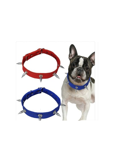 Orta Irk Çivili Köpek Tasması Boy 60 Cm En 3 Cm