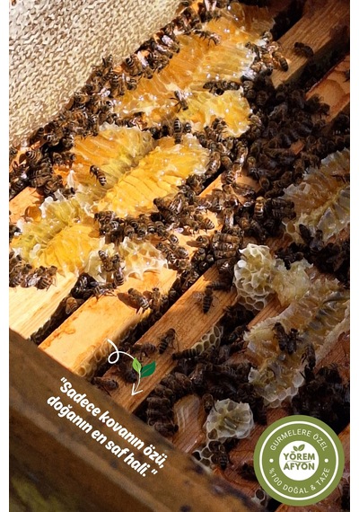 Yörem Afyon Usta Arıcıların Seçkisi Anadolu Yaylalarından Gelen Gizli Cevher Saf Propolis Tozu, Ekstraktı 25gr