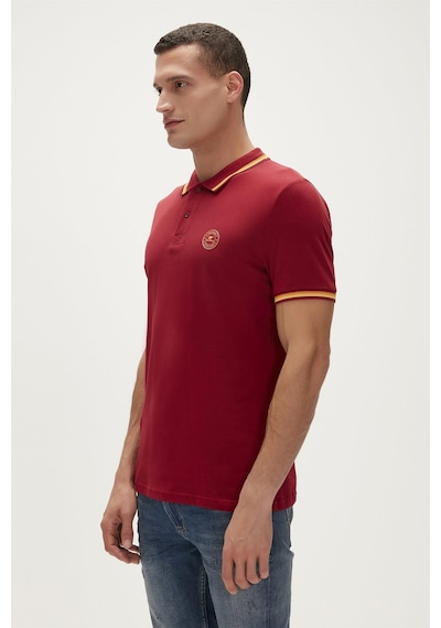 Bad Bear 21.01.07.023-c20 Groove Erkek Polo T-shirt Bordo