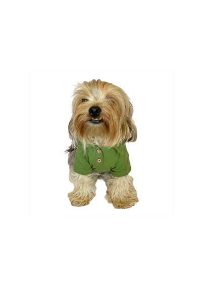 Grass Green Köpek Gömleği Köpek Kıyafeti Köpek Elbisesi