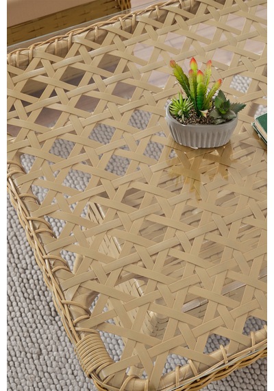 Duru 2 Kişilik Rattan Bahçe Balkon Mutfak Masa Takımı Cappuccino