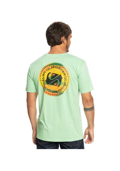 Quiksilver Eqyzt07229 Colourflow M Tees Erkek Tişört 001 Yeşil