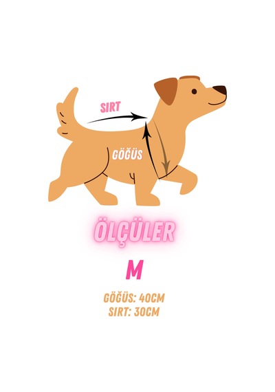 Kedi Ve Köpek İçin Papatyalı Beyaz Kazak
