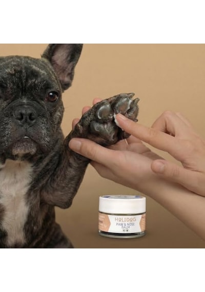 %100 Doğal Köpek Pati Ve Burun Balmı Lavanta Kokulu Yoğun Nem & Onarıcı Bakım Bakanlık Onaylı