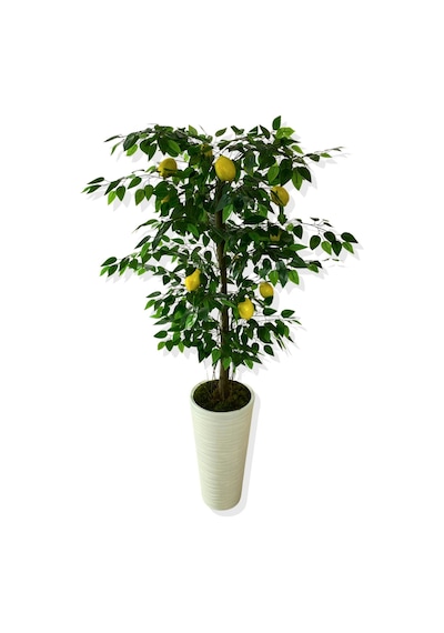Cihan Çiçekçilik Yapay Ağaç Limon Ağacı 170 Cm 56x30x20 Beyaz Kumsal Saksı Yeşil