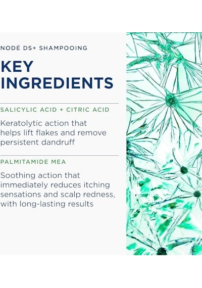 Ayrex Ds Yağlı Kepeğe Karşı Etkili Deterjan Içermeyen Saç Bakım Şampuanı 125 Ml