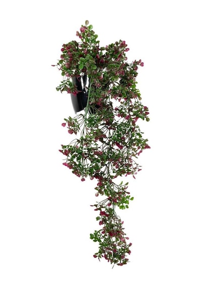 Yapay Çiçek Saksıda Sarkan Bordo Fare Kulağı Şimşir Yapay Sarmaşık Pastel 50cm