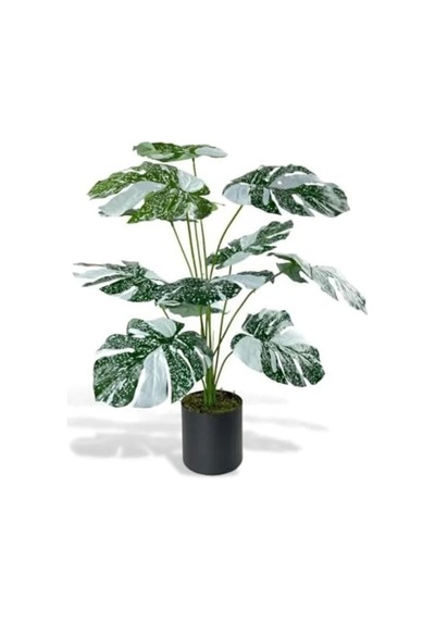 70 Cm Boyunda Yeşil Beyaz Yapay Monstera Saksı Bitkisi, 12 Dal 20beyazcipso