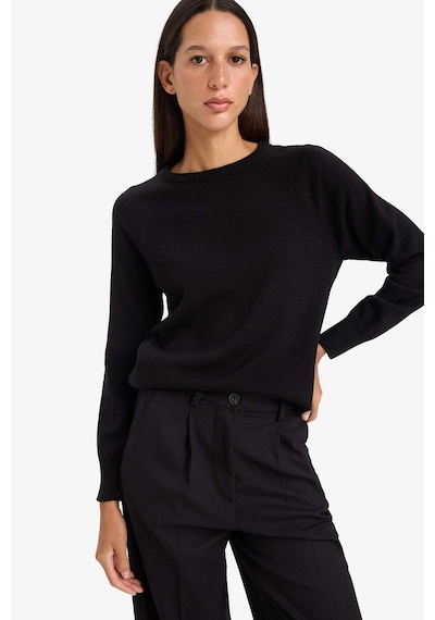Defacto Relax Fit Bisiklet Yaka Basic Düz Triko Kazak I6913AZ25WNBK81 - Siyah