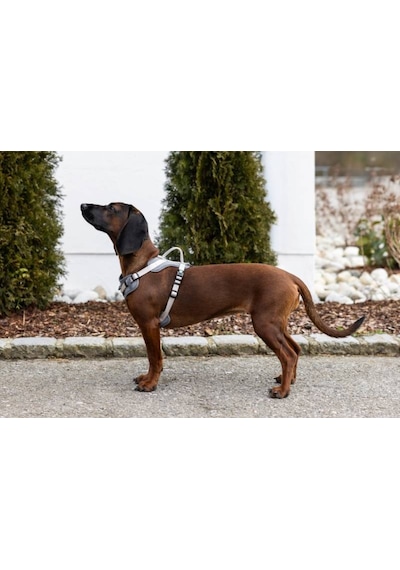 Y Tipi Spor Köpek Göğüs Tasması 20 Mm 38-62 / 58-74 Cm - Fitty Serisi - M Gri