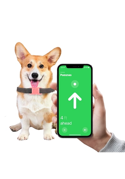 Buff Tagsafe Dogcol Taşınabilir Anahtarlık Apple Uyumlu AirTag Kılıf Pink