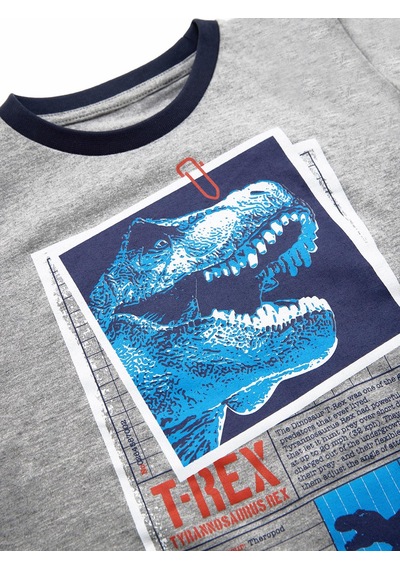 Denokids T-rex Info Erkek Çocuk T-shirt Pantolon Takım