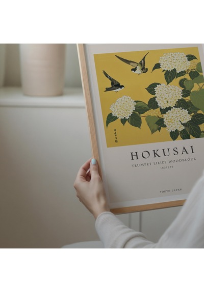 Katsushika Hokusai, Hokusai, Sergi Posteri, Japon Duvar Sanatı, Hokusai