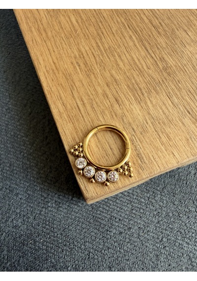 %100 316 L Cerrahi Çelik Otantik Zirkon Taşlı Kilitli Halka Piercing Altın