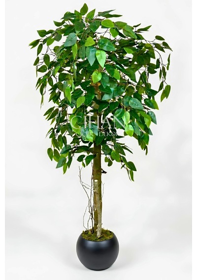 Yapay Benjamin Ağacı 27x33 Küre Saksılı 140 Cm Beyaz