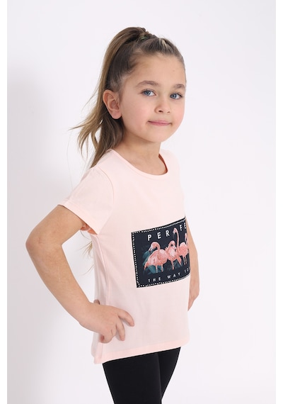 Toontoy Kids Toontoy Kız Çocuk Flamingo Baskılı Tişört Pudra