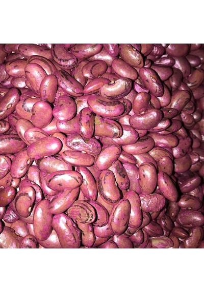 Perolar UzunEnli Erkenci Sırık Fasulye Tohumu 500 GR İlaçlı