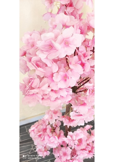 Rüzgar Çiçekcilik 1 Metre Pembe Renk Bahardali Pembe