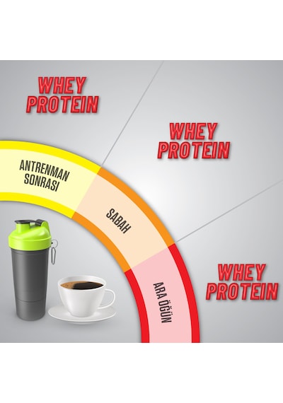 Whey Protein Wpc %80 -vitamin B6&b7 Takviyeli -enzim Destekli -çikolata Aromalı 1050gr 30 Servis