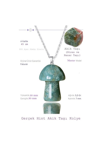 Sertifikalı Mantar Model Hint Akik Taşı Kolye Gümüş Aparatlı Çok Renkli