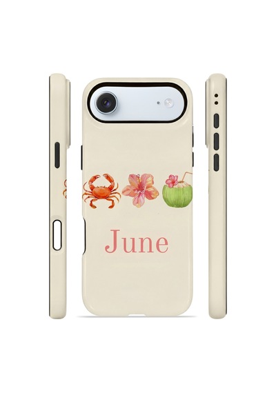 Apple iPhone Uyumlu 17 Air Vorian Çift Katmanlı Magsafe Kılıf June Seaside