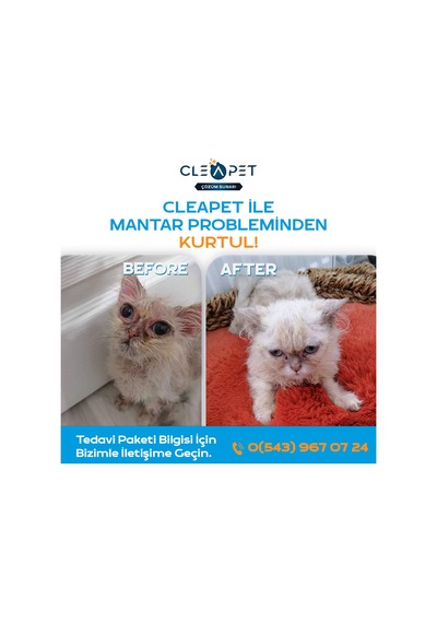 Cleapet Exclusıve Seri Nano Sprey 250 ML