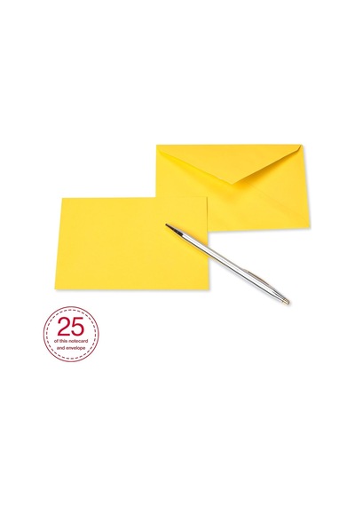 American Greetings Tek Panel Zarflı Boş Kartlar, Gökkuşağı Renkleri 200 Sayım