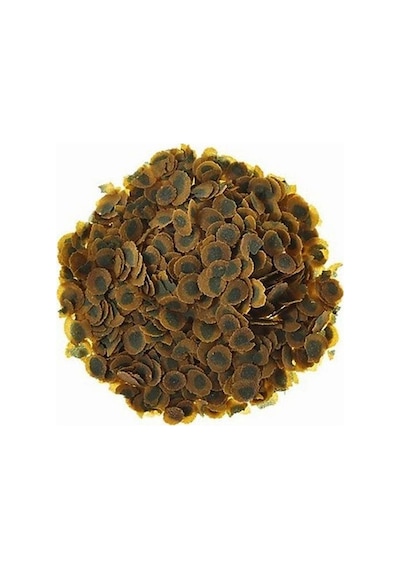 Tetra Pro Algae - Kovadan Bölme 250gr