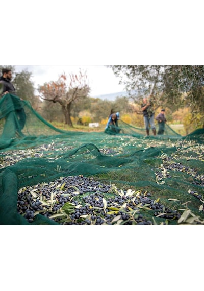 3X5 METRE ZEYTİN SERGİSİ ZEYTİN TOPLAMA FİLESİ FINDIK FISTIK ÖRTÜ