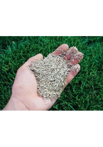 Çim Tohumu İthal 6'li Karışım Eco Planet Seed 6-m Mix İmar Ve Tamir Çimi 5 Kg Şeffaf Pakette 0,250