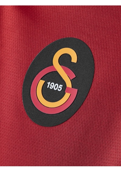 Gsstore Galatasaray Match Day Polo T-shirt E251317 Çok Renkli