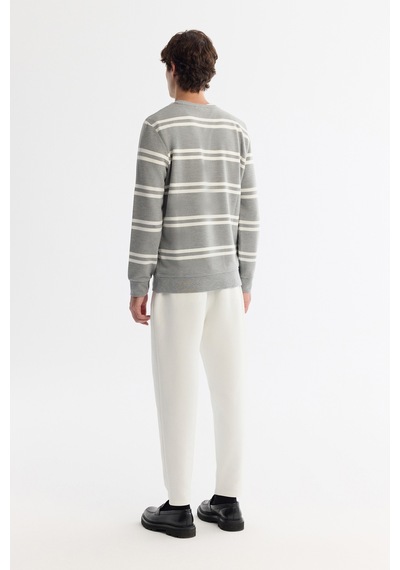 Avva Erkek Gri Bisiklet Yaka Çizgili Elastan Regular Fit Sweatshirt A42y1292