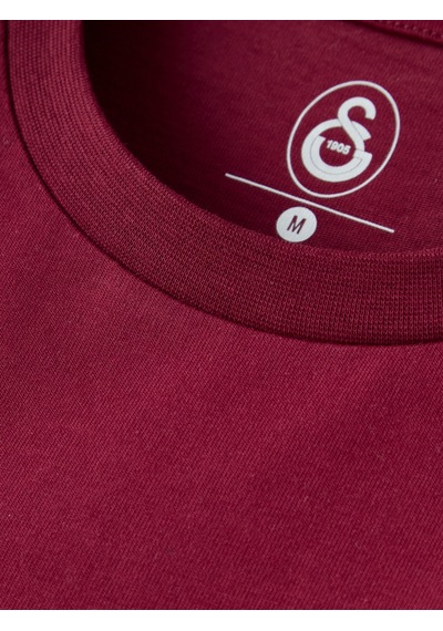 Gsstore Galatasaray Erkek T-shirt E261086 Bordo