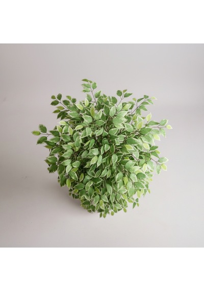 Yapay Ficus Ağaç 150 Cm Beyaz Küre Saksı Yeşil